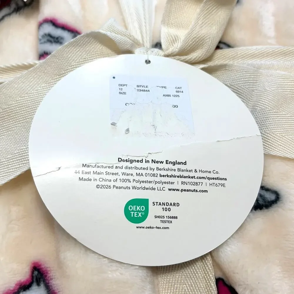 Peanuts VelvetLoft Blanket NWT Full/Queen 90inx90in Snoopy Valentines Tracksuit